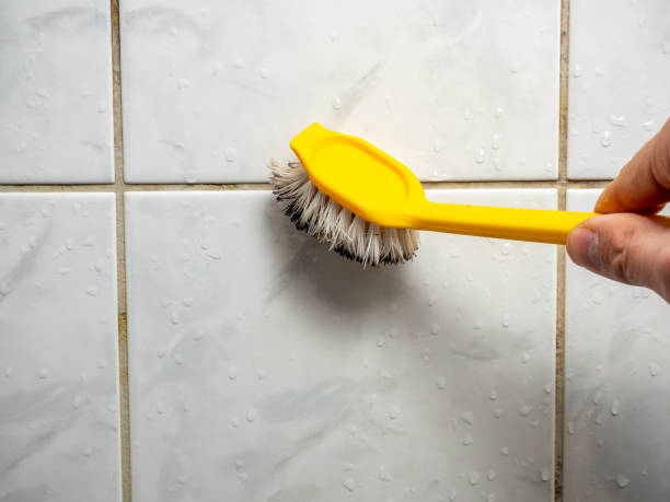 Best Affordable Mold Removal  in Hoer, OK