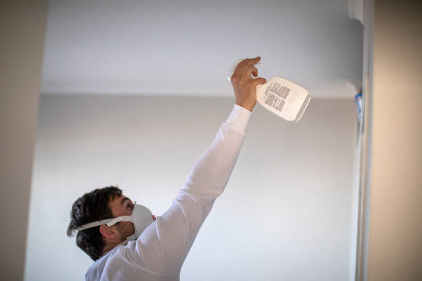 Best Office Mold Removal Services  in Hoer, OK
