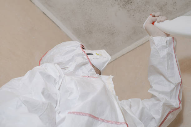 Attic Mold Removal in Hooker, OK