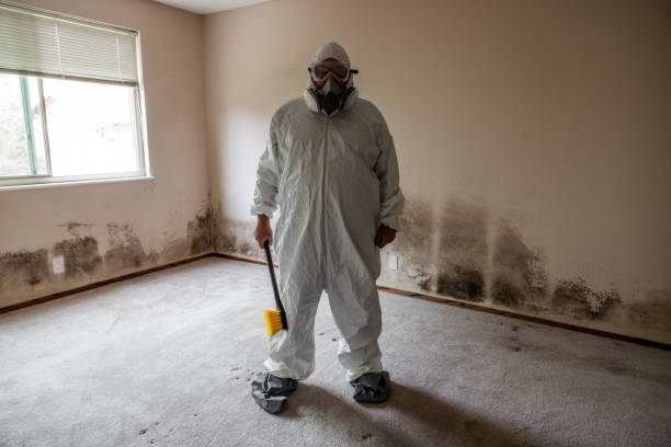 Best Mold Removal Near Me  in Hoer, OK