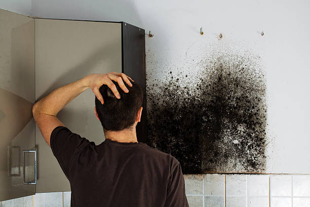 Best Mold Testing  in Hoer, OK